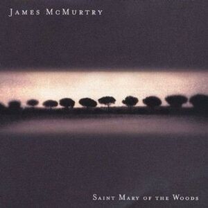 James McMurtry - Saint Mary of the Woods  CD